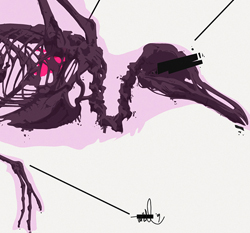 250_bird