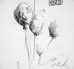 250_sketch